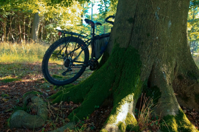 Дания - страна ветров и холмов (Вело, велосипед, гостеприимство, соло вело трип)