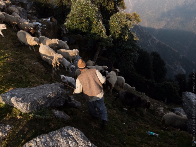 Индия, Гималаи, Полет до Драмсалы и обратно с ночевкой (Воздух, бир, Драмсала, бивак-флай, полеты, параплан, пилот)