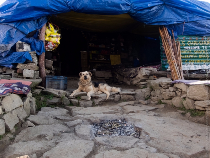 Индия, Гималаи, Полет до Драмсалы и обратно с ночевкой (Воздух, бир, Драмсала, бивак-флай, полеты, параплан, пилот)
