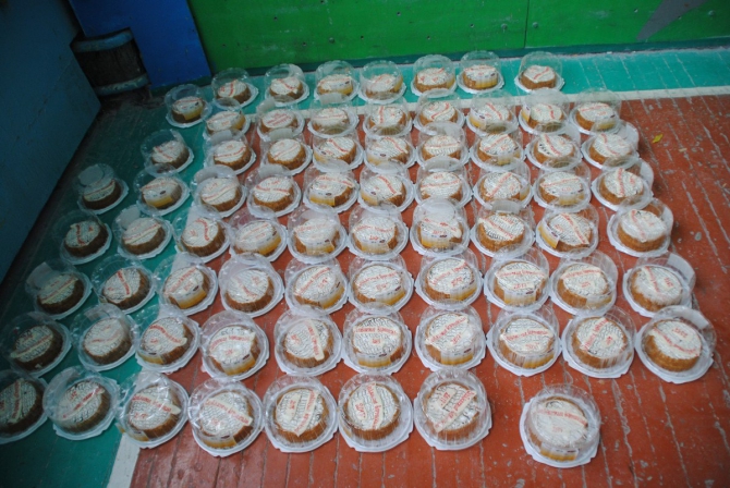 Славянские вертикали 2017 (Скалолазание, смоленск, соревнования, скалолазание)