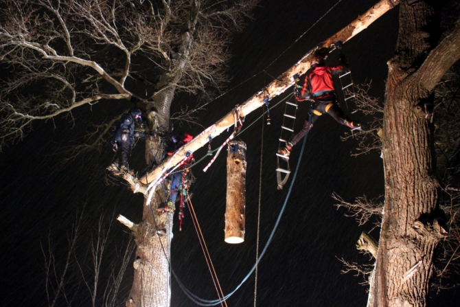 XXII чемпионат по горному туризму памяти МС Голосова В.П. (Горный туризм, альпинизм, ледолазание, отчет, соревнования, red fox, ярославль, эрцог)