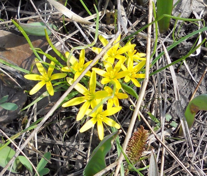 Ура, весна пришла! (Путешествия)