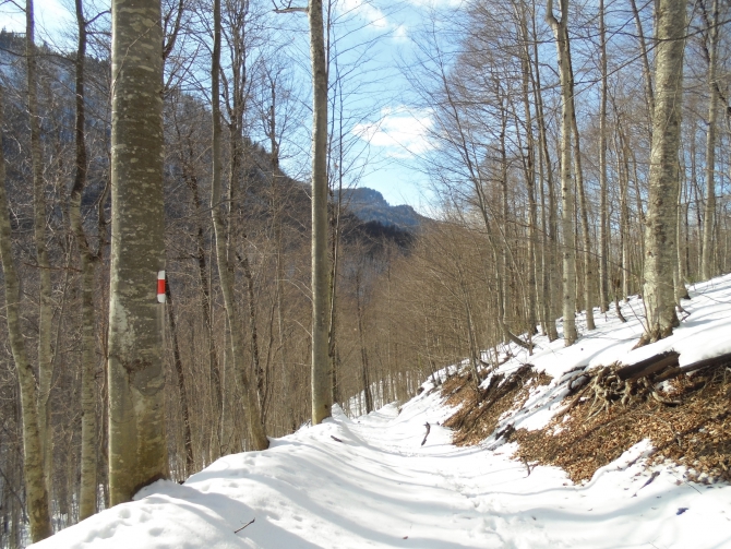 Зимний поход по маршруту Большой Тхач - Агиге - Малый Бамбак (Кавказ, Туризм)
