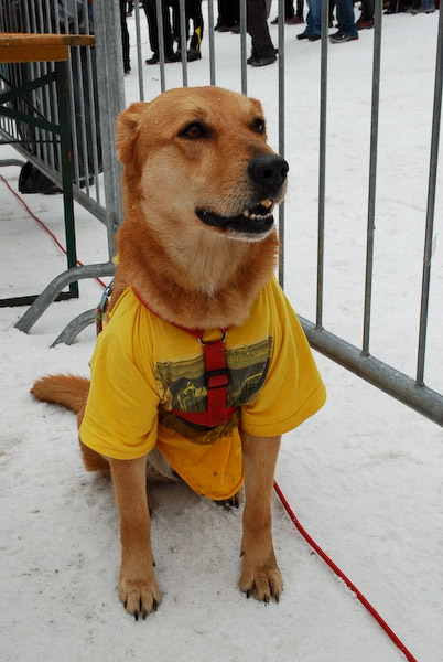 Ледниковый период (part one, Ледолазание/drytoolling)