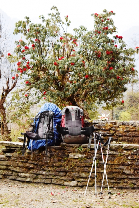 Трек вокруг Аннапурны или "Пособие о том, как съездить в Непал и вернуться другим человеком". Часть II. (Путешествия)