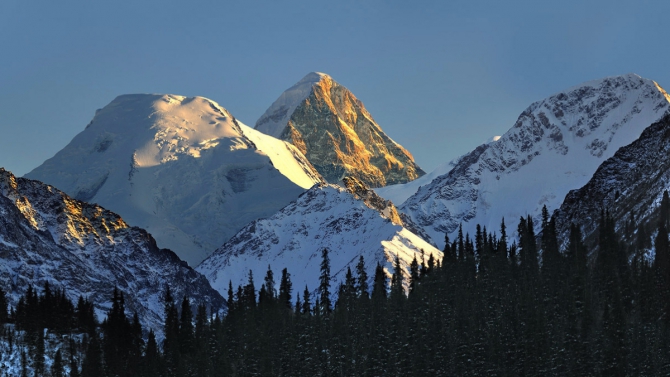   4    . -   2017 ( , , , -)