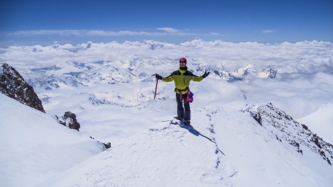 5642.  2017        :, , , )