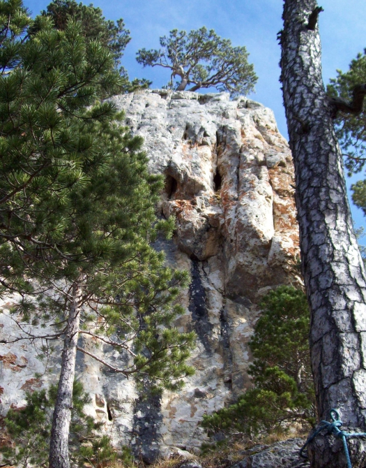 В августе на плато Лаго-Наки проидет фестиваль redpoint лазания... (Скалолазание, gekko, краснодар, фсскк, кравченко, 7с+)