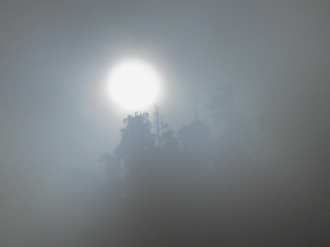 Теберда-Даут-Домбай - январь 2009 (Горный туризм, горы, кавказ, фото, эпчик, эльбрус, белалакая, туман)