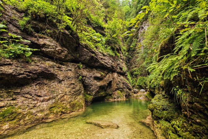 -2017:  (,  ,  , , , , , )