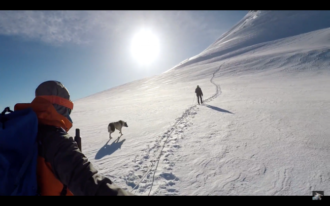 Казбек и Эльбрус в одном флаконе отчет ч.2 (Альпинизм, альпинизм, восхождение, горы, грузия, vitsupertramp, виталийсупертрамп)