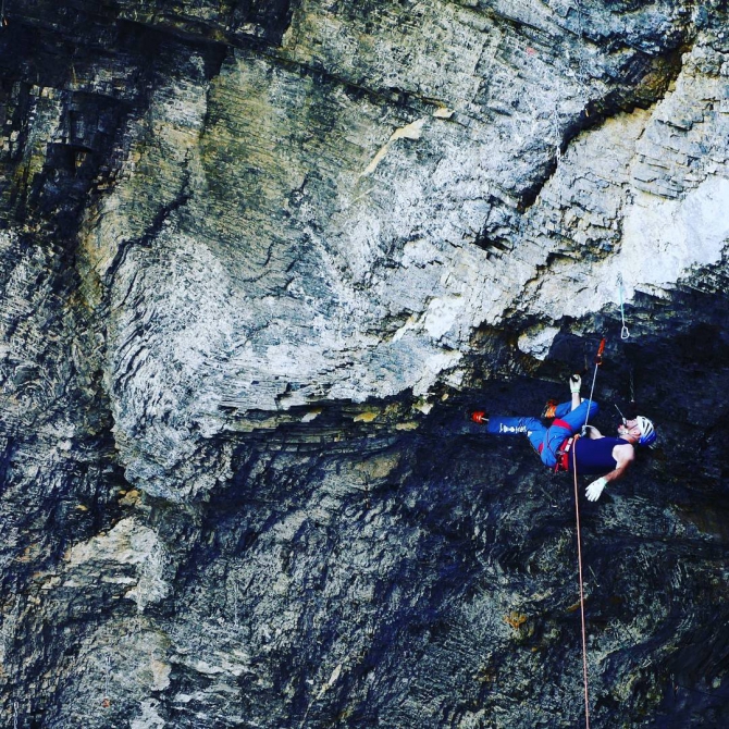    D16! (, ,    ,  , Storm Giant)