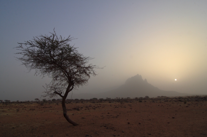 Материал из которого ткут сны... (рука фатимы, мали, африка, dav club russland)