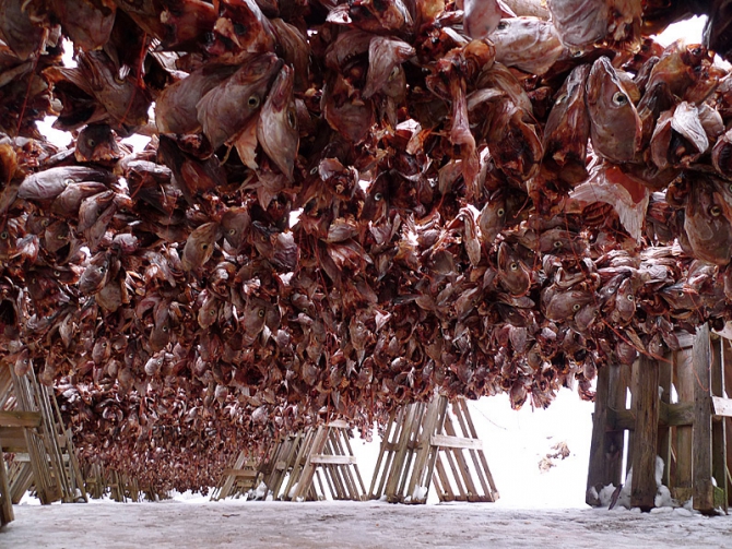 Норвегия. Лед. Фото путешествие от Марко Презеля. (Альпинизм, марко презель, ледолазание)