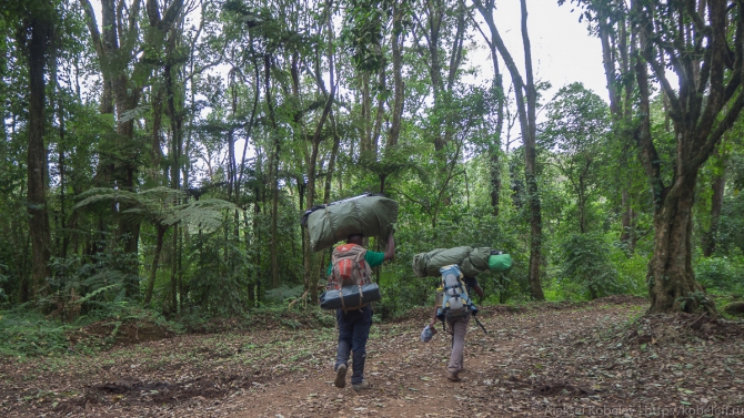 Санаторий-профилакторий «Килиманджаро» (Путешествия, танзания, африка)