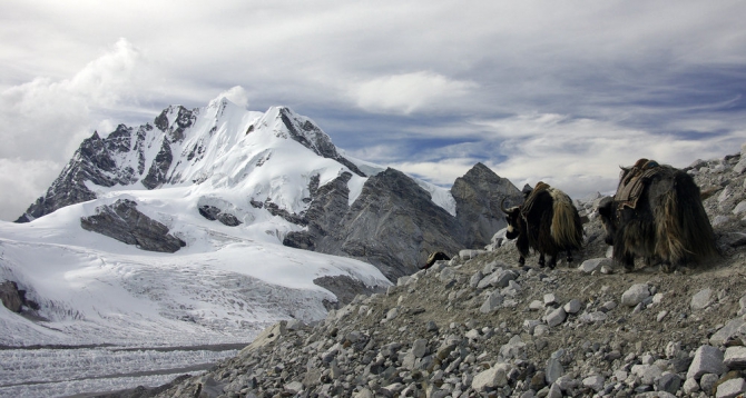 Фото Мастера 6. Radson. (Альпинизм, музтаг ата, гималаи, непал)
