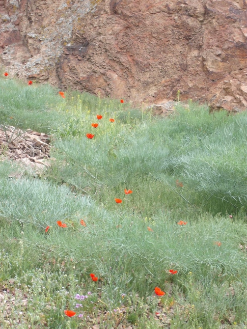 На Или весна :-) Добавились новые фото. (Альпинизм, klenov, manaraga-team, scarpa, rock for everybody, russia-kazakhstan, skala)