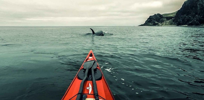 ВИДЕО: Встреча с Косатками на мысе Слюда (между мысами Мраморный и Анива). Май 2018. Сахалин / Whales vs Sea-kayaker (Вода)