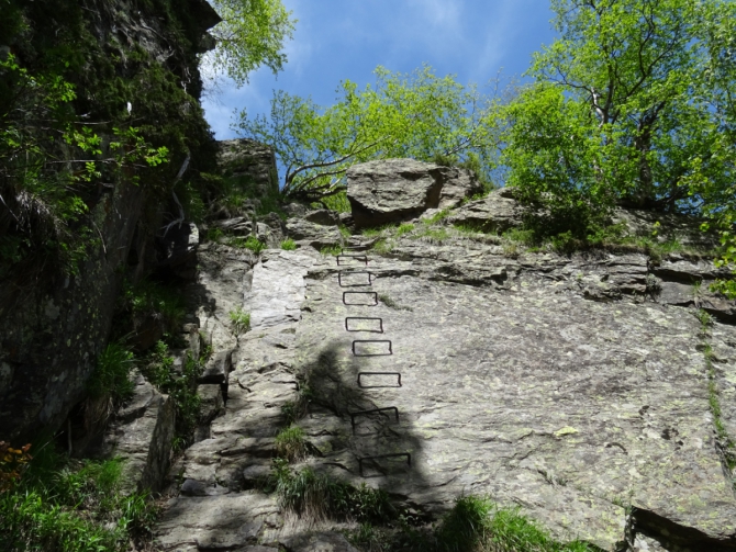      

                            </div>
                            
                            <div class=