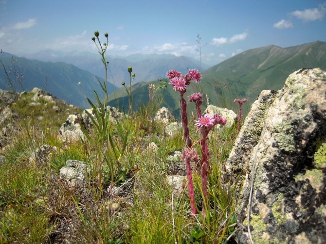 Приглашаю участников в горный поход из С.Осетии в Балкарию 13 - 20.08.2018 г. (Горный туризм)