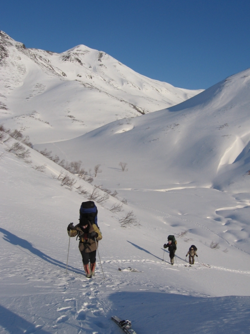 ОСТРОВ ВОРОНА КУТХИ (Путешествия, кипяток, остров камчатка, ворон кутха, лыжи)