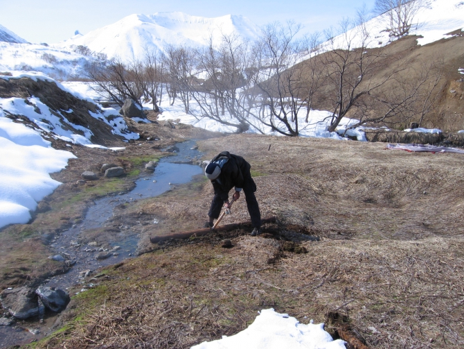 ОСТРОВ ВОРОНА КУТХИ (Путешествия, кипяток, остров камчатка, ворон кутха, лыжи)