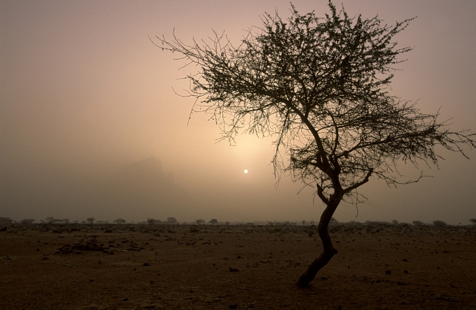 Фотографии из Мали, продолжение... (dav club russland)