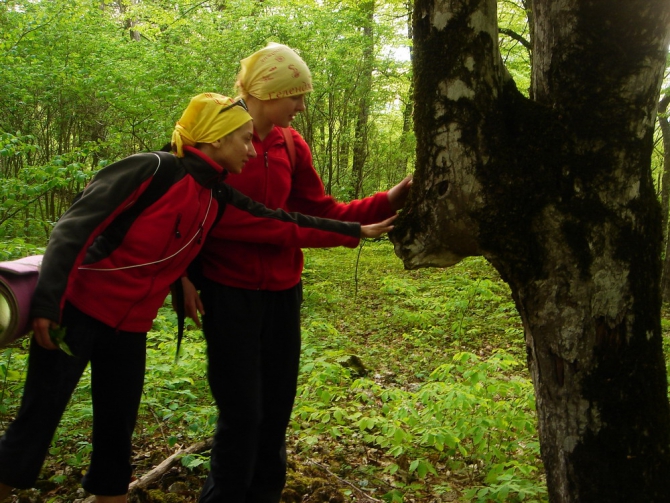 Сhillout на Гуамке. (Скалолазание, войнов, юркин, гуамка, рязань, краснодарский край, скалолазание)