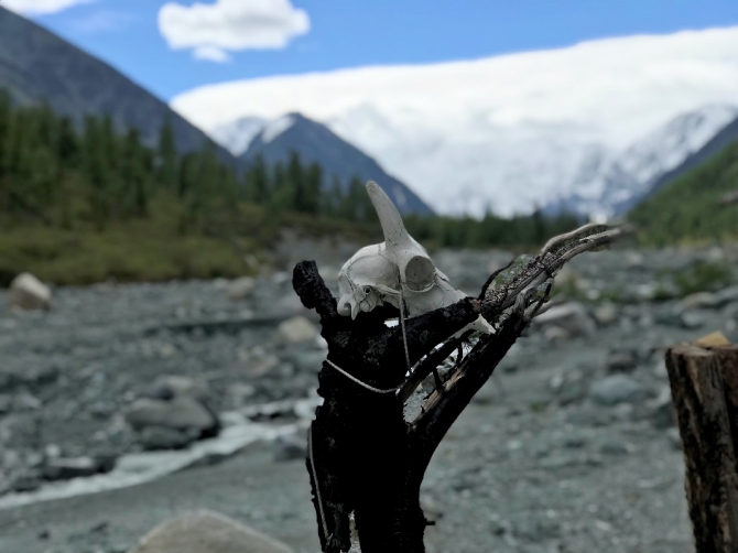 20180822_045845455_iOS_Fotor Опасно для жизни или как не надо ходить на Белуху. Вся правда про альпклуб "Вертикаль", г. Новосибирск (горы, гора, белуха, алтай, восхождение)