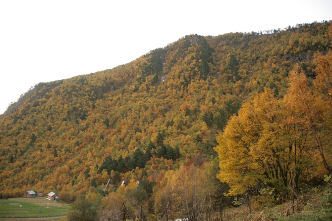     ,  ,   23.09-24.09 ()