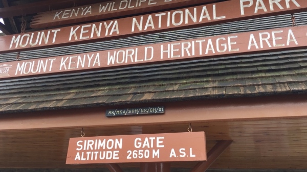 Восхождение на пик Ленана (4985 м), Кения март, 2018. (Горный туризм, Найроби, африка)