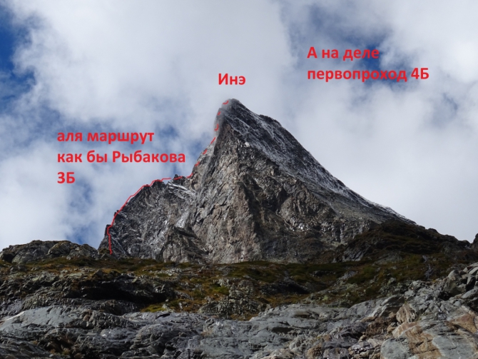        &quot;&quot;   (, , , ,   ,  ,  ,  , alpexotica)