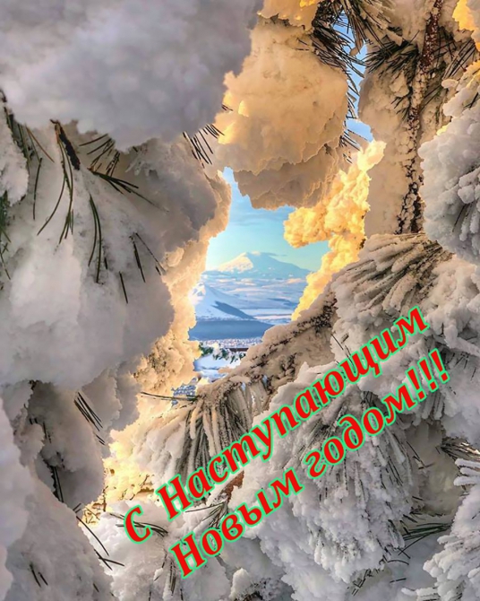 С Наступающим Новым годом! (Горные лыжи/Сноуборд)