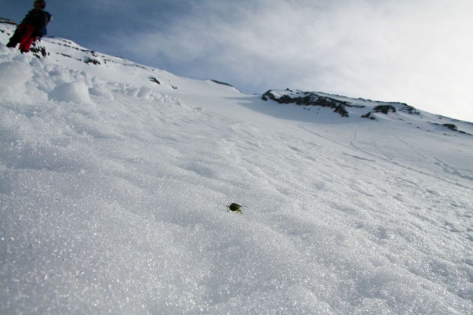 Fuji-san во "внесезон" (Путешествия, япония, фудзи)