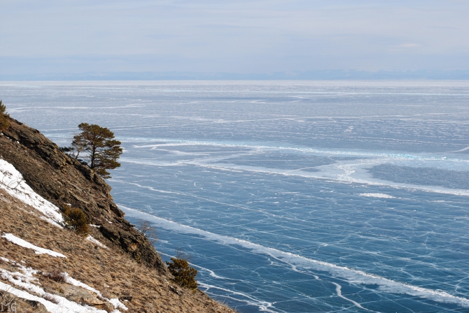      .      - 2018 (, , , )