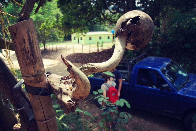 5lAowN7VjZ8 Восхождение в затерянный мир. Венесуэла. Рорайма. (Путешествия, латинская америка, путешествие жизни, трек, исследование, тепуй, амазония)