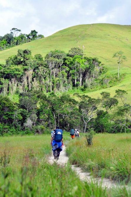41l7SeJpNYc Восхождение в затерянный мир. Венесуэла. Рорайма. (Путешествия, латинская америка, путешествие жизни, трек, исследование, тепуй, амазония)
