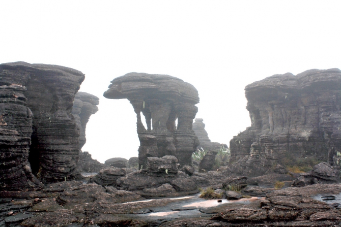 15 Восхождение в затерянный мир. Венесуэла. Рорайма. (Путешествия, латинская америка, путешествие жизни, трек, исследование, тепуй, амазония)