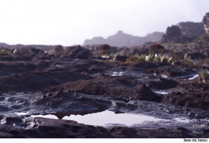 z_fce8a6a5 Восхождение в затерянный мир. Венесуэла. Рорайма. (Путешествия, латинская америка, путешествие жизни, трек, исследование, тепуй, амазония)