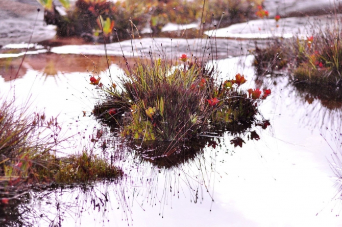 APP8Wcnjg4w Восхождение в затерянный мир. Венесуэла. Рорайма. (Путешествия, латинская америка, путешествие жизни, трек, исследование, тепуй, амазония)