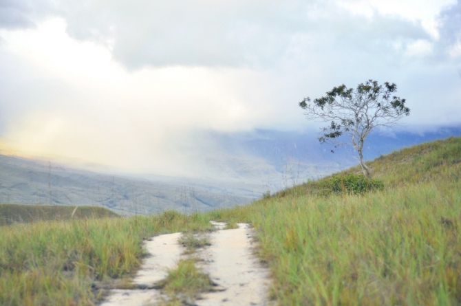 ZD9giKs4uw8 Восхождение в затерянный мир. Венесуэла. Рорайма. (Путешествия, латинская америка, путешествие жизни, трек, исследование, тепуй, амазония)