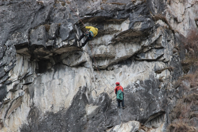    1-         -  2019 ()