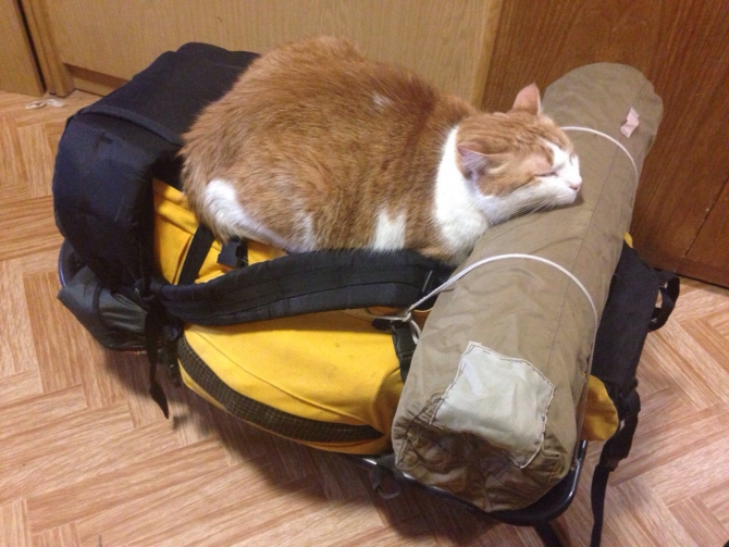 IMG_0638 Красивые и невысокие горы. А заблудиться можно. (Туризм)