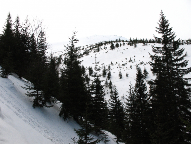 IMG_4153 Красивые и невысокие горы. А заблудиться можно. (Туризм)