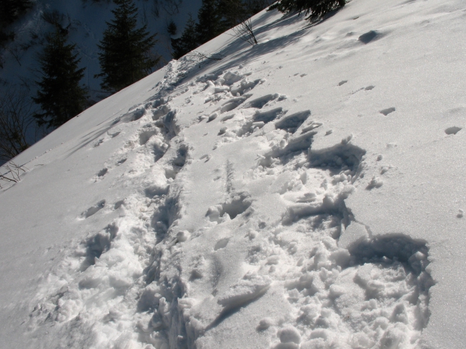 IMG_4164 Красивые и невысокие горы. А заблудиться можно. (Туризм)