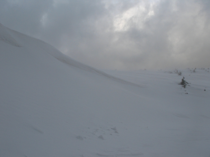 IMG_4190 Красивые и невысокие горы. А заблудиться можно. (Туризм)