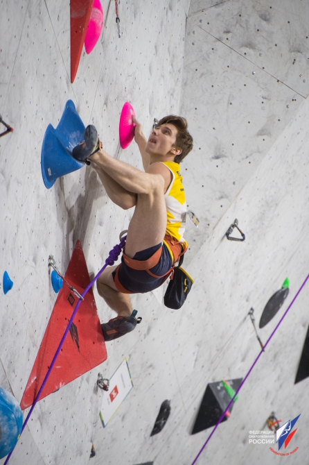          ! (,  , , , ,  ,  ,  ,  )