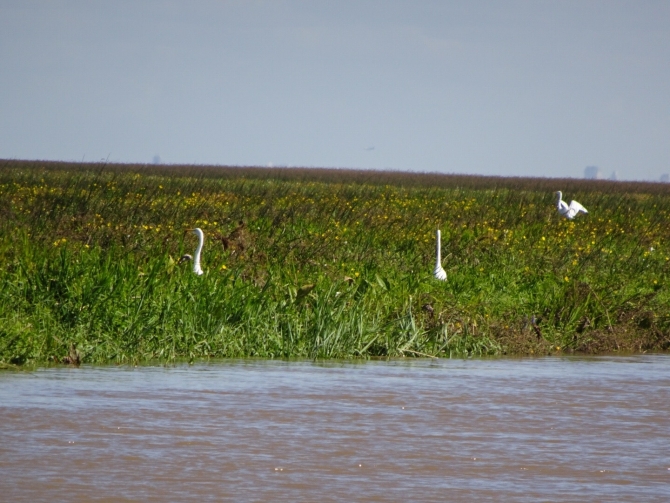 1 Золотой дорадо в Аргентине (Путешествия, аргентина, рыбалка на дорадо, отчет о рыбалке)
