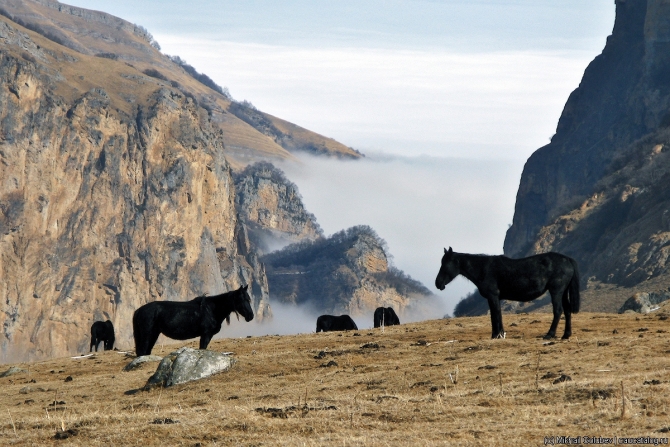 risk20__250_IMG_0353 edit Кавказ — март 2019 (Горный туризм, горы, фото, фотография, кбр)