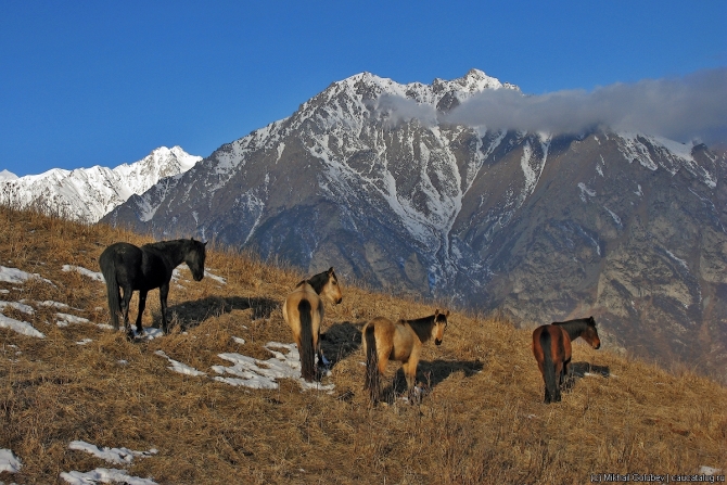 risk29__344_IMG_0483 edit Кавказ — март 2019 (Горный туризм, горы, фото, фотография, кбр)